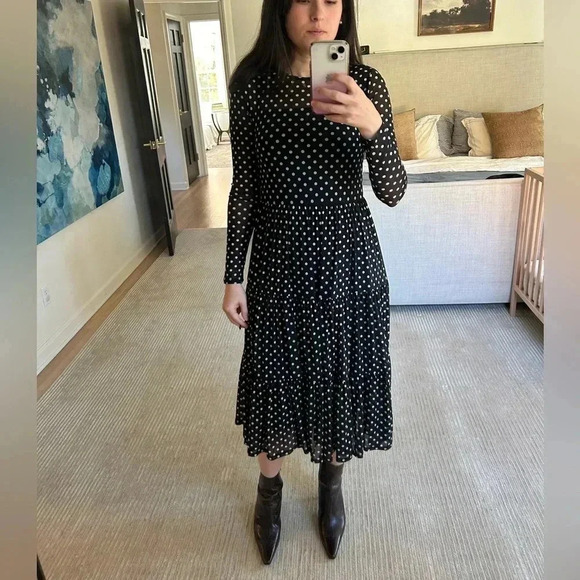 SPIRIT OF GRACE Dresses & Skirts - SPIRIT OF GRACE mesh polka dot tiered midi long sleeve dress S Ivy city co